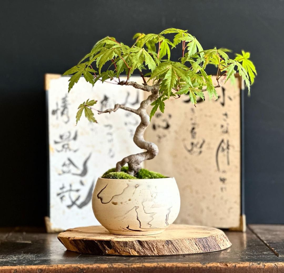 植物育成ライト専門店BARREL公式サイト